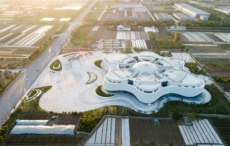 金乡国际蒜都中心